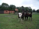 DSCF6589.JPG