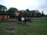 DSCF6598.JPG