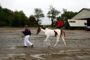 D�nemark 20091003.JPG