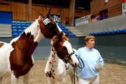D�nemark 20091009.JPG
