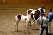 D�nemark 20091020.JPG