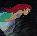 ariel-1.jpg