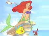 ariel-4.jpg