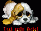 sorry00047.gif