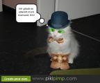 DSC00016-compiled.jpg