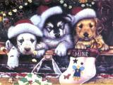 cute-dogs-with-xmas-hats.jpg