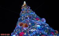 epcot-xmas-tree-1-12.jpg