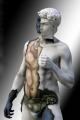 world-bodypainting-festival-3.jpg