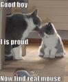 Motherlove.JPG