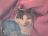 DSC00074.JPG