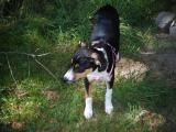 DSCF3718.jpg