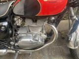 IMG_8457.jpeg