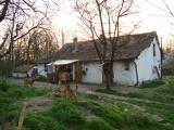 DSC00310.JPG