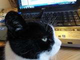 DSC00005.JPG