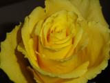 DSC00027.JPG