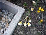 20100319_d17.jpg