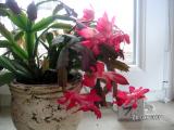 20100324_d24.JPG