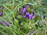 20100326_d07.JPG