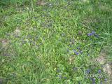20100326_d05.JPG