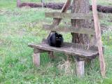 IMG_3543d.jpg