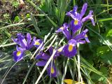 20100522_d113.JPG