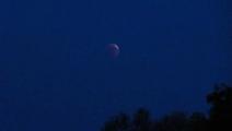 DSC02014.JPG