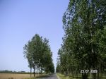 090723_d05 090723_d05