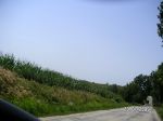 090723_d08 090723_d08