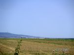 090723_d25 090723_d25