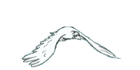 MOEWE 1.gif