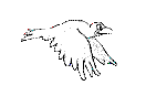 MOEWE 2.gif