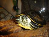DSC04027.JPG