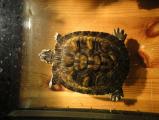 DSC04025.JPG