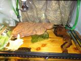 DSC04021.JPG