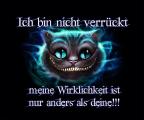 imagepreview