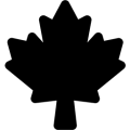 imagepreview