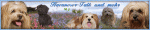 imagepreview