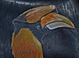 Doppelhornvogel