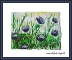 Blumenwiese