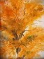 Herbst