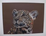 Leopard-in-Pastell