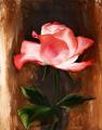 Edelrose