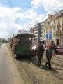 img8050t.jpg
