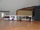 m busse 009.JPG