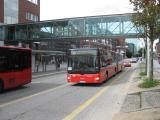 Kopie von IMG_8223.JPG