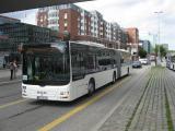 Kopie von IMG_8226.JPG