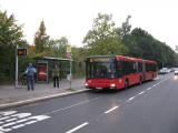 img4776d.jpg