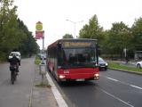 img4777a.jpg