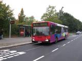 img4780a.jpg