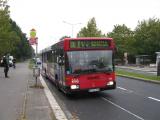 img4781u.jpg